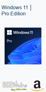 Windows 11 │ Pro Edition